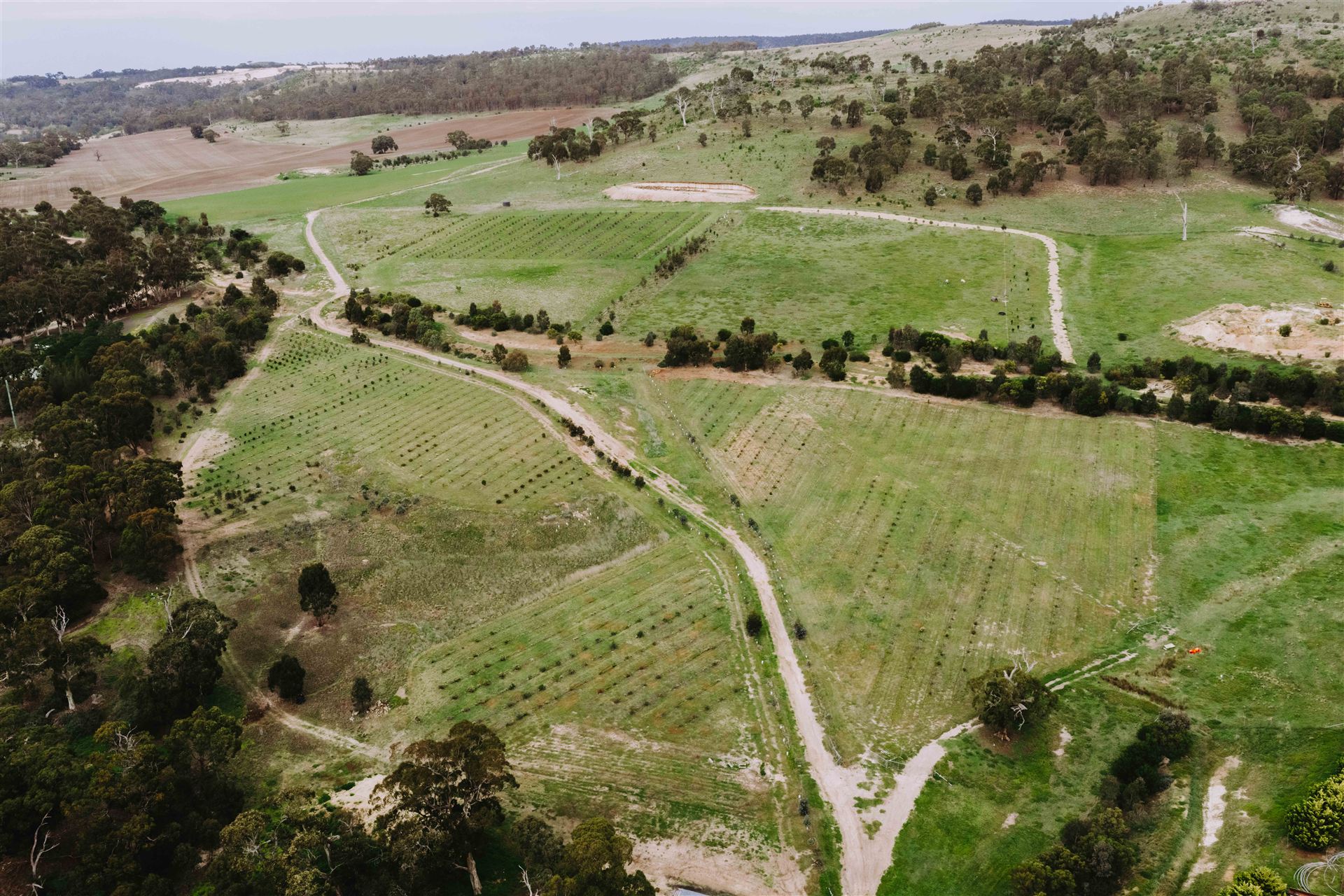 The farm from above: green paddocks, rows of plantings and tracks winding through the valley