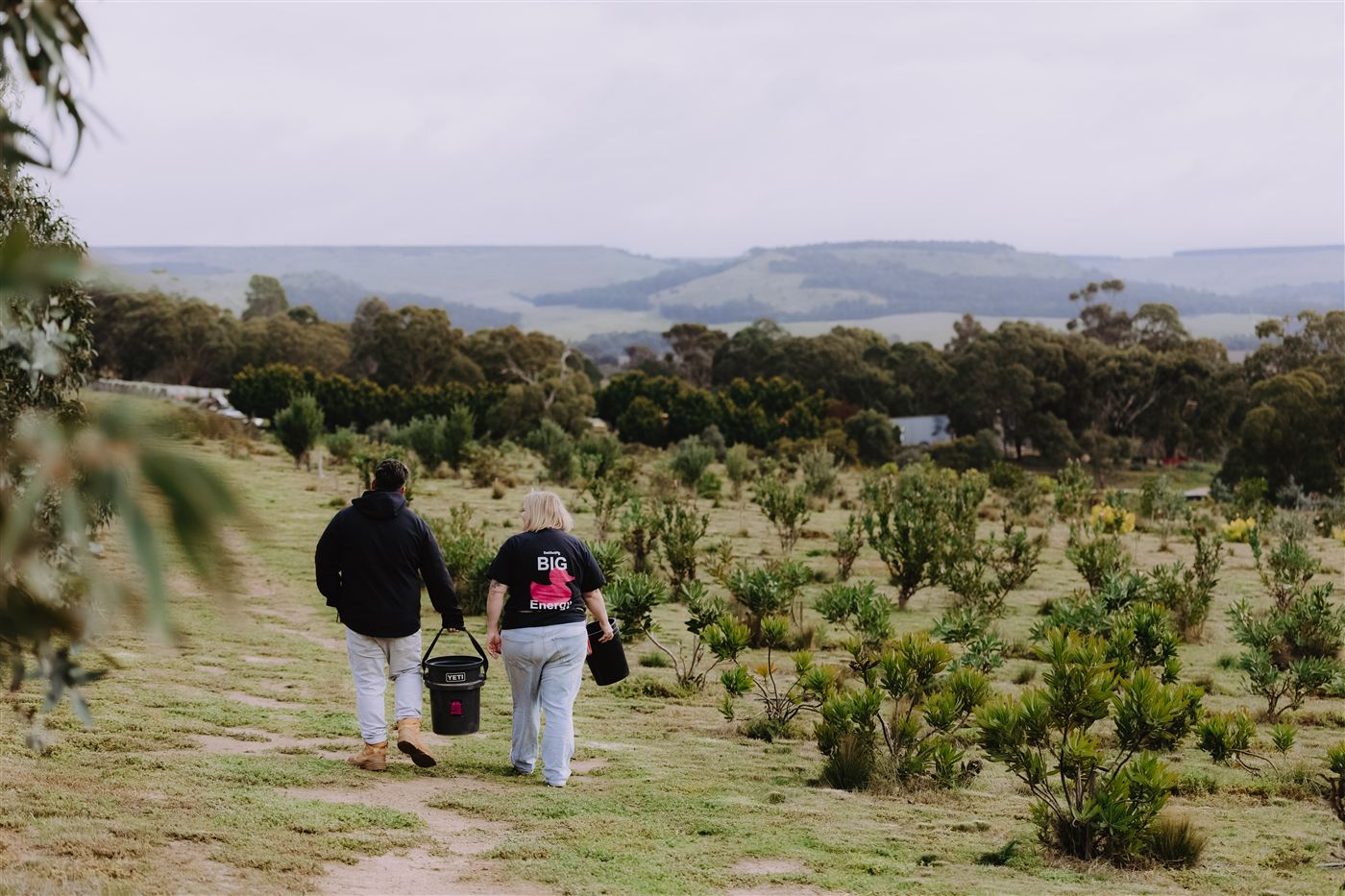 Walking out through the flower paddock with the valley stretching out behind