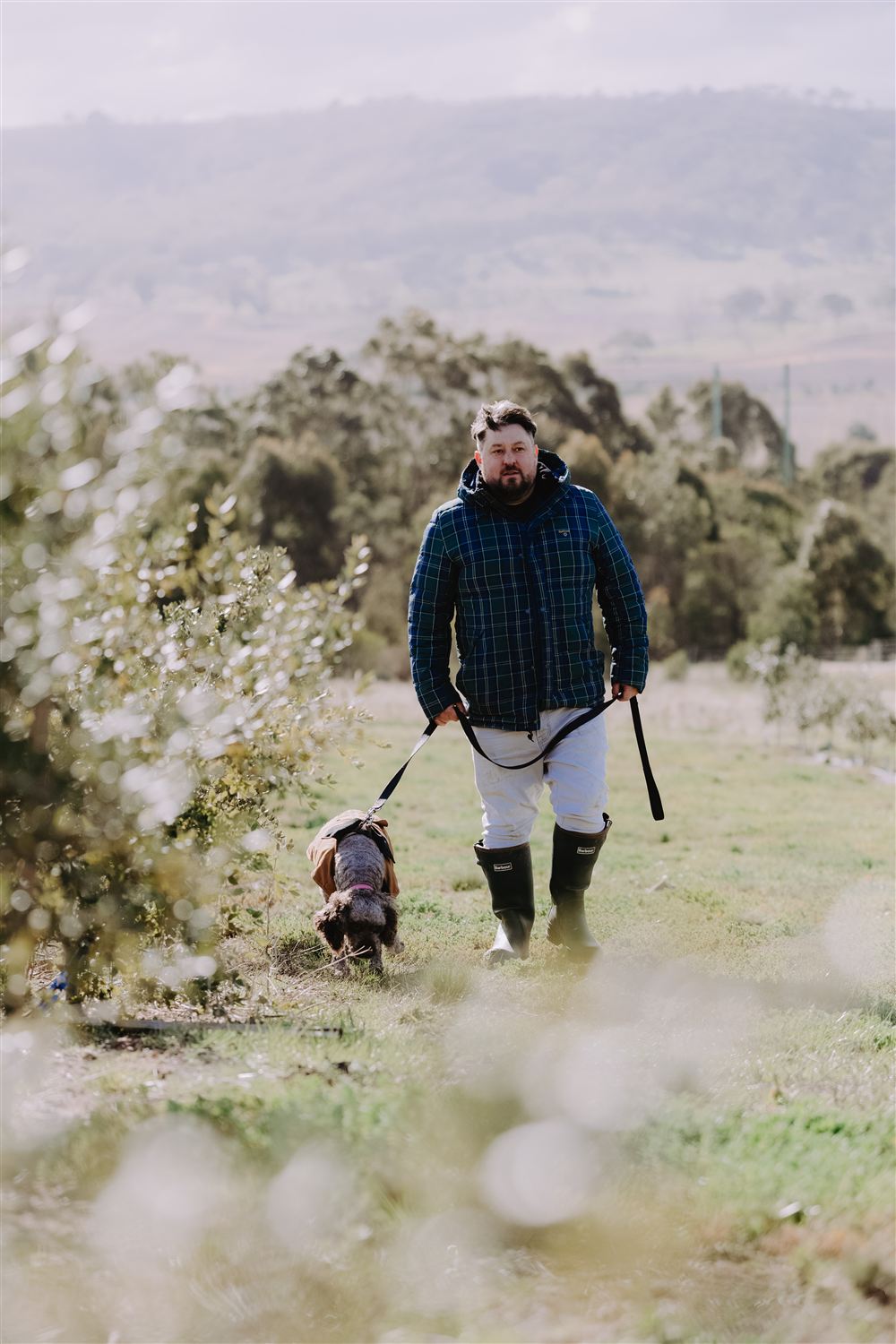 Walking through the orchard with one of the truffle dogs on a lead