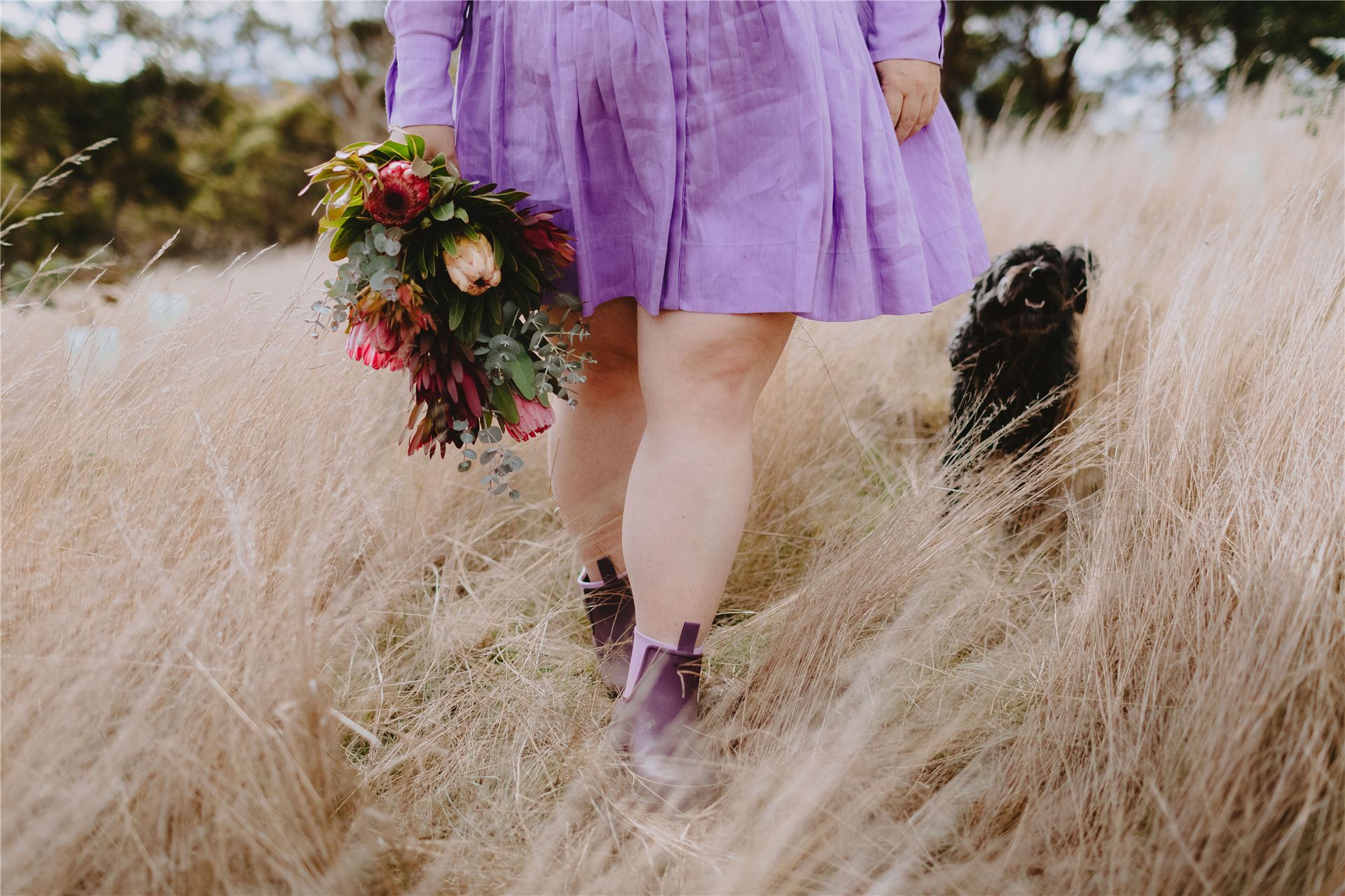 Walking through long grass with a bunch of native flowers and a farm dog