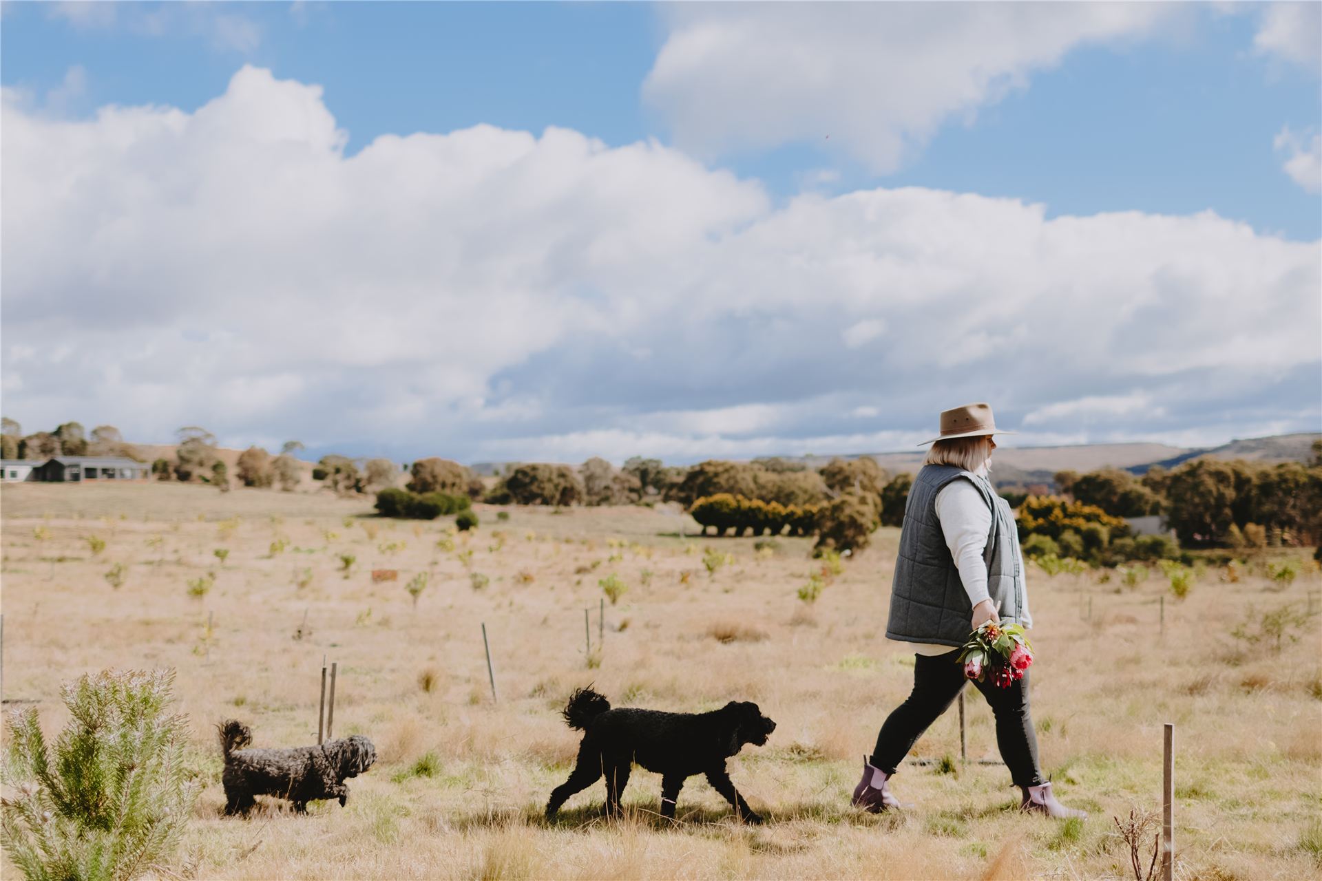 Walking the flower paddock with two dogs under a big sky