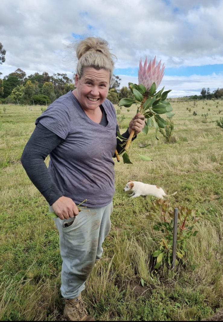 Holding up a king protea in the paddock