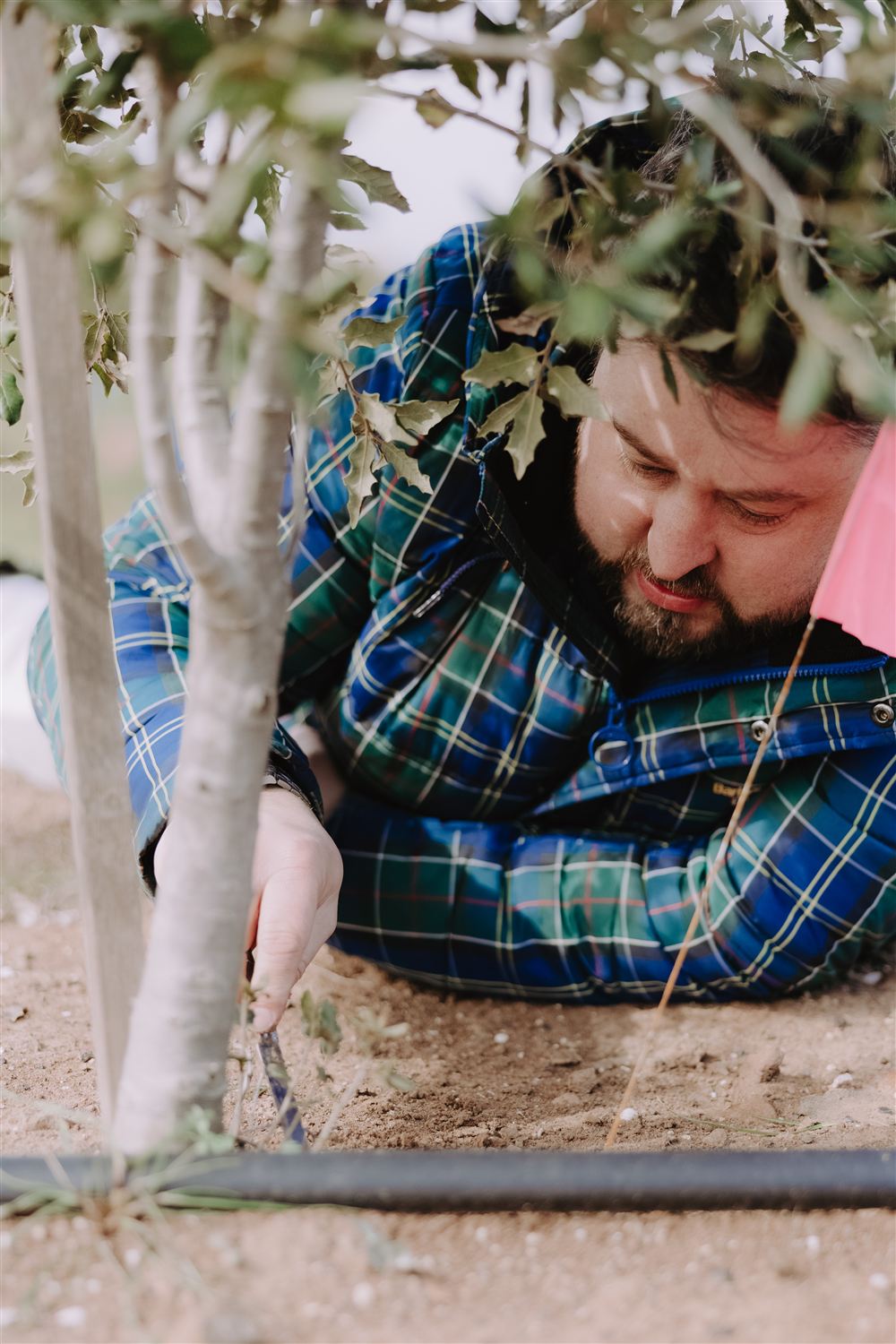 Down on the ground inspecting the soil under one of the oaks